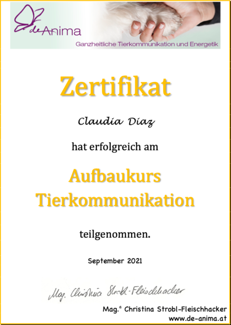 Zertifikat: Aufbaukurs Tierkommunikation
