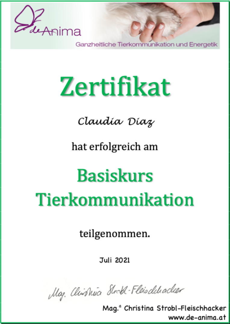Zertifikat: Basiskurs Tierkommunikation