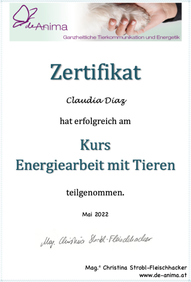 Zertifikat: Energiearbeit mit Tieren